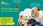 View this ad