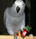 View this ad