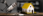View this ad