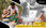View this ad