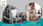 View this ad