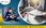 View this ad