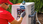 Annonce ansehen