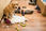 View this ad